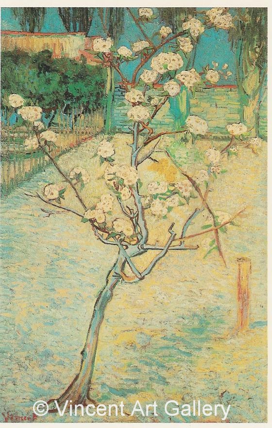JH1394, Blossoming Pear Tree